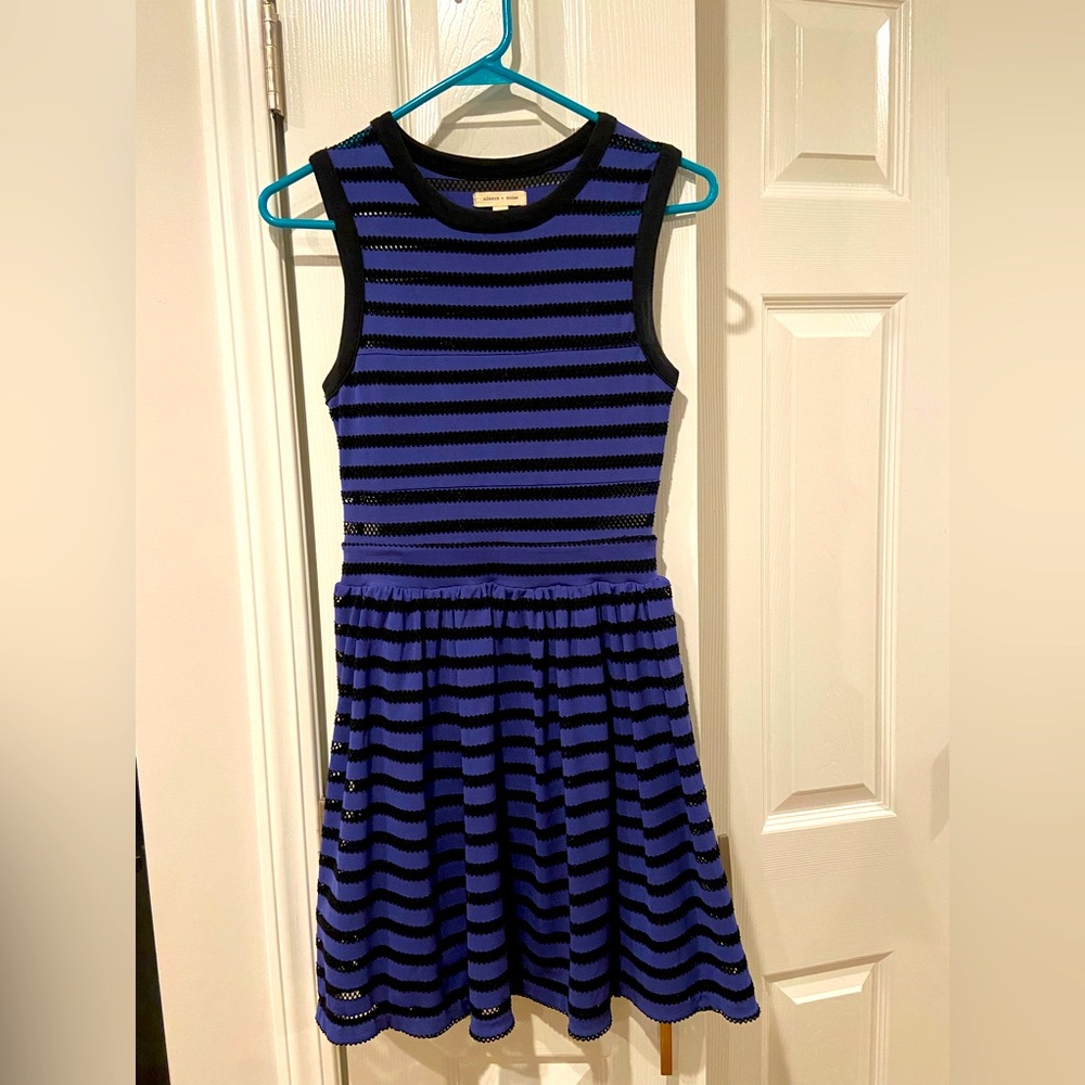 Cobalt blue and mesh black Anthropologie tank dress